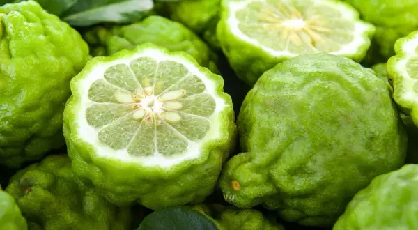 Bergamotas verdes, algunas enteras y otras cortadas por la mitad, revelan su pulpa jugosa y semillas.
