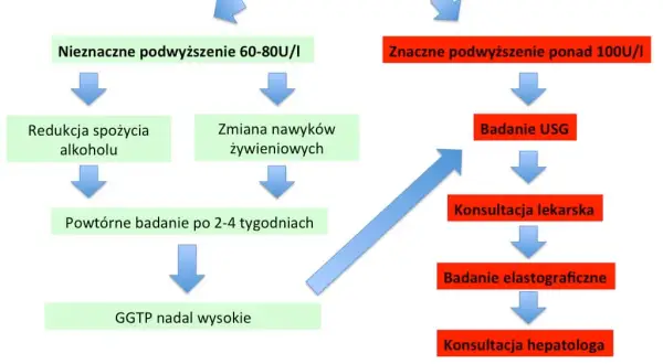 GGTP: Co oznacza podwyższony wynik? Normy, przyczyny i jak obniżyć