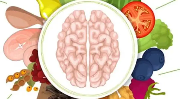 Mózg otoczony przez zdrowe produkty: jagody, pomidor, brokuły, fasolę, mięso. To ilustracja diety mind.