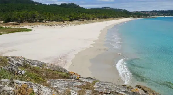Vista panorámica de la playa del medio, con arena blanca, aguas turquesas y pinos verdes.