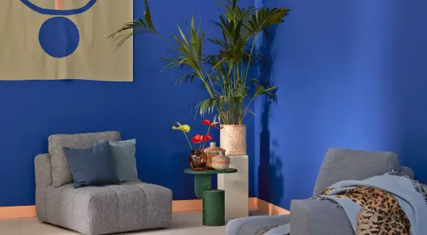 Ein gemütliches Wohnzimmer mit einem grauen Sofa und passender Wandfarbe in leuchtendem Blau. Dekorative Kissen und eine Pflanze sorgen für Gemütlichkeit.