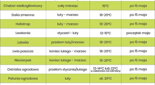 Jakie kwiaty siejemy w lutym, aby uzyskać piękne ogrody?