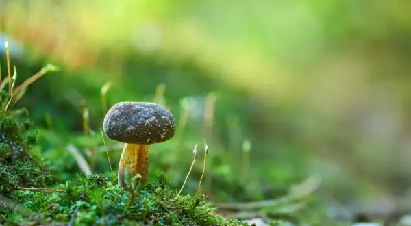 Suknia jak kapłanka: odkryj tajemnicze symbole i modowe inspiracje
