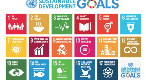 Agenda 2030 cele zrównoważonego rozwoju - jak je osiągnąć i dlaczego to ważne