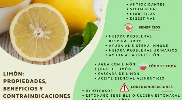 El limón es bueno para la digestión, el sistema inmune y problemas respiratorios. Sus propiedades antioxidantes y vitamínicas lo hacen ideal.