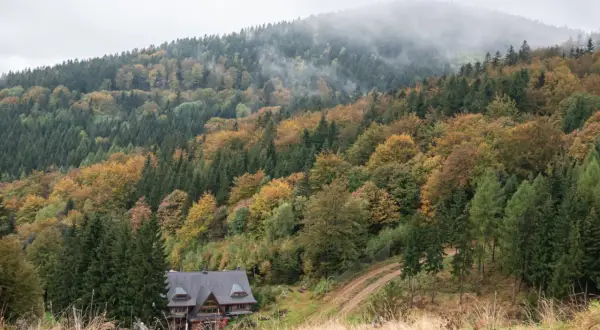 Dom w jesiennym lesie, gdzie w góry dolnośląskie widać mgłę na szczytach.