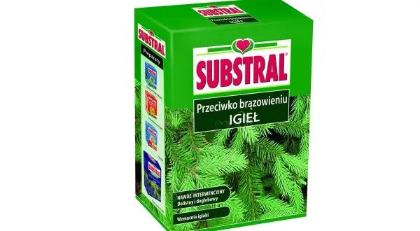 Jaki nawóz pod iglaki, aby uniknąć brązowienia igieł?