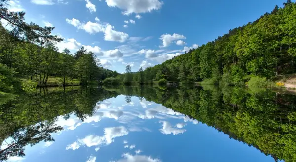 Spiegelglatter See im Schwarzwald, umgeben von üppigen Wäldern. Ein friedlicher Ort, der an geheime Orte im Schwarzwald erinnert.