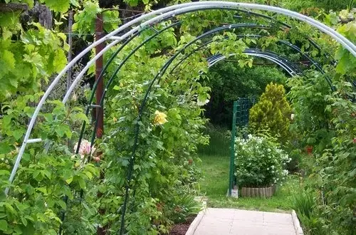 Pergola z drutu DIY: Jak zbudować krok po kroku?