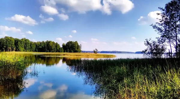 Jezioro Dobre Pomorskie – ukryty skarb dla miłośników przyrody