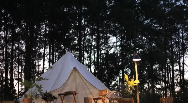 En vit glampingtält står uppsatt bland höga träd i skymningen. Utanför tältet finns sittmöbler och ett litet bord, redo för avkoppling. En lampa lyser upp området.