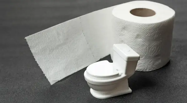 Miniaturowa toaleta i rolka papieru toaletowego symbolizują problem nietrzymania kału.