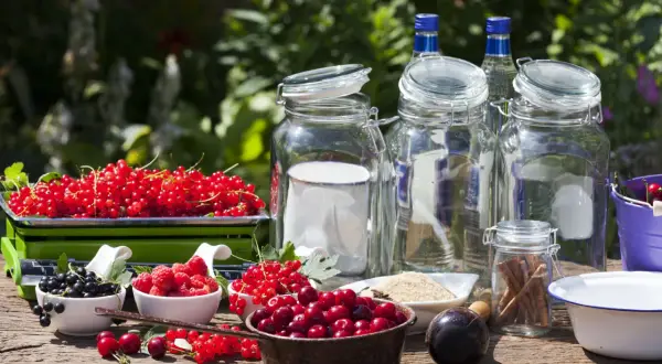 Owoce, cukier, alkohol i słoje – wszystko gotowe, by dowiedzieć się, jak się robi nalewki.