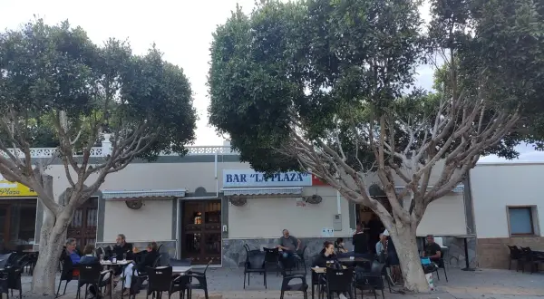Gente disfrutando en la terraza de "Bar La Plaza", uno de los mejores restaurantes de Cabo de Gata, bajo la sombra de árboles frondosos.