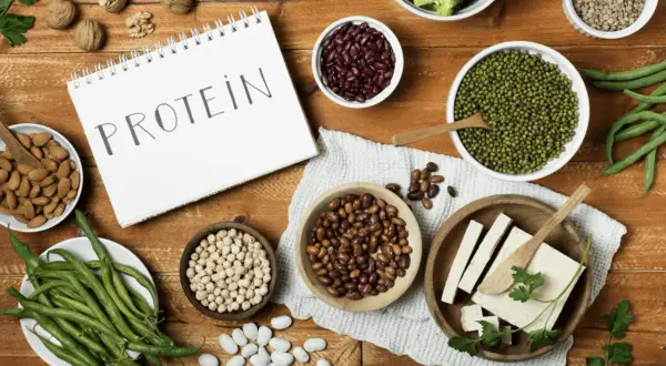 Notatnik z napisem "PROTEIN" otoczony miseczkami z fasolą, ciecierzycą, soczewicą, orzechami, brokułami, fasolką szparagową i tofu.