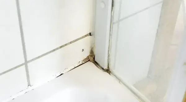 Silikon czernieje? Poznaj przyczyny i usuń pleśń raz na zawsze!