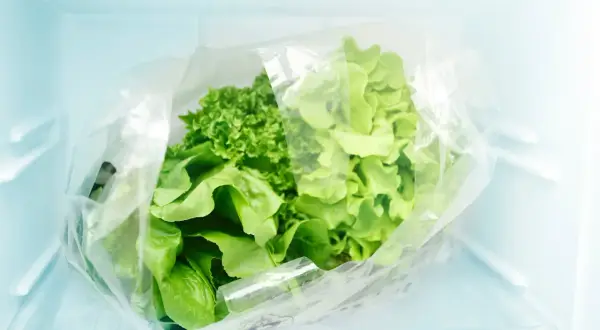 Lechugas frescas en una bolsa plástica dentro de la nevera, un truco para saber como conservar la lechuga en la nevera y que dure más tiempo.