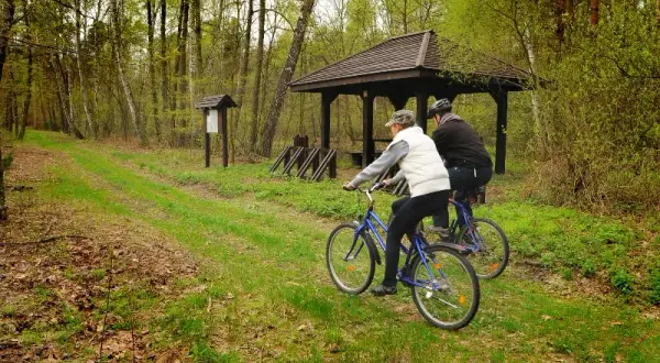 Najlepsze trasy rowerowe w Piasecznie – odkryj piękno okolicy