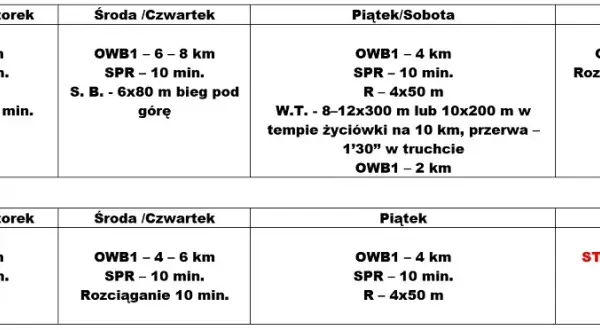 Ile czasu naprawdę zajmuje przygotowanie do maratonu? Sprawdź optymalny plan!