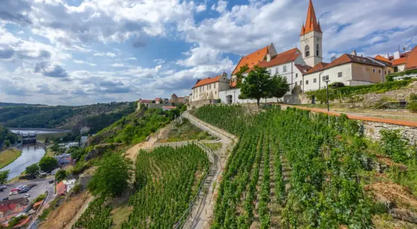 Malownicze wzgórze z winnicami schodzące ku rzece, nad którym góruje zabytkowe miasteczko z kościołem. To prawdziwa kraina z brnem.