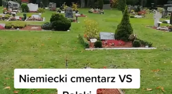 Jak wyglądają cmentarze w Niemczech i co je wyróżnia od polskich?