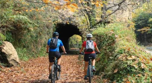 Ciclistas pedalean por la senda del oso Asturias, cubierta de hojas otoñales, hacia un túnel natural.