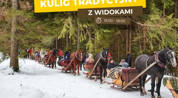 Wszystko o kuligach w Dolinie Kościeliskiej: atrakcje, ceny i rezerwacja 2024
