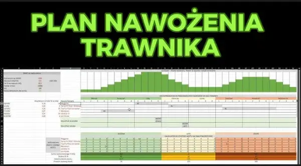 Kiedy nawozić trawnik? Kalendarz nawożenia krok po kroku