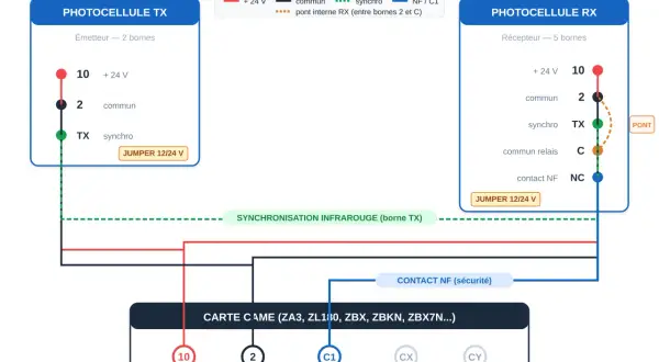 Schéma de branchement photocellule portail : émetteur TX et récepteur RX connectés à une carte CAME.