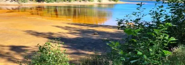 Jezioro Łąkie - tajemnice, piękno i zagrożenia polskich jezior