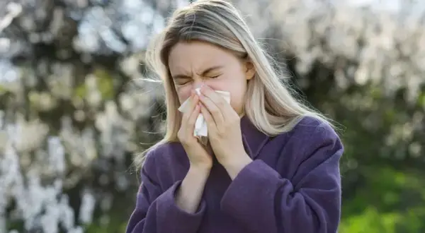 Kiedy pylą zboża? Sprawdź, jak uniknąć alergii w sezonie pylenia