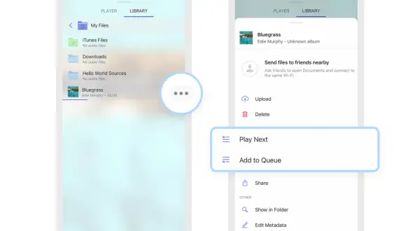 iPhone music app library shows a "Bluegrass" song. Tapping the options reveals "Play Next" and "Add to Queue," suggesting it can play WAV files.