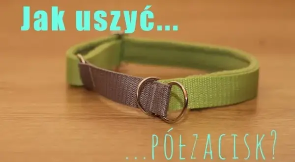 Jak zrobić obrożę dla psa – łatwy sposób na wyjątkowy dodatek dla pupila