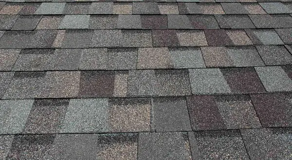 Close-up of a multi-toned asphalt shingle roof. This image shows why an asphalt roof is good for durability and aesthetic appeal.