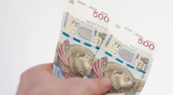Obniżone odsetki podatkowe: kiedy i jak zmieniły się stawki?