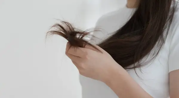 Eine Hand hält eine Strähne dunkler Haare, die deutlichen Spliss zeigt.