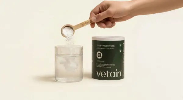 Eine Hand schüttet Kreatinpulver aus einem Löffel in ein Glas Wasser. Das Pulver löst sich auf, was auf die Einnahme von Kreatin hindeutet, das manchmal mit Wassereinlagerung in Verbindung gebracht wird.