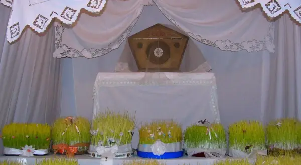 Il giro dei sepolcri: un altare con un ostensorio dorato, circondato da vasi di grano verde decorati con nastri e fiori.