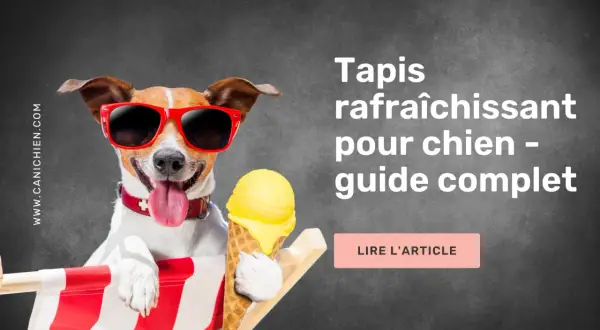 Chien cool avec lunettes de soleil et glace, profitant de son tapis rafraîchissant.