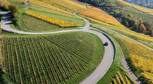 Herbstliche Weinberge in Deutschland, eine kurvige Straße schlängelt sich durch die bunten Reben. Perfekt für eine Weinwanderung.