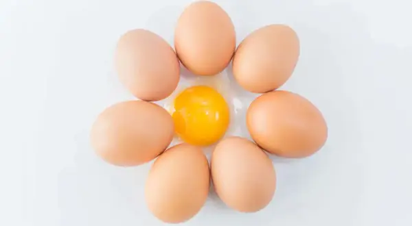 Sieben braune Eier sind kreisförmig angeordnet, mit einem aufgeschlagenen Ei in der Mitte. Ein Ei hat etwa 6 Gramm Protein.