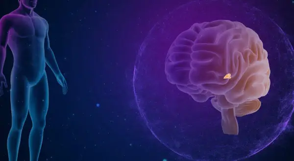 Anatomical illustration showing a human silhouette and a brain. A highlighted area within the brain indicates a torbiel szyszynki.