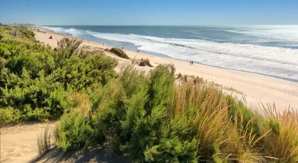 Rajskie plaże Argentyny: Przewodnik po najpiękniejszych zakątkach