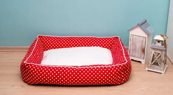 Rotes Hundebett mit weißen Punkten und weißer Liegefläche, bereit fürs hundebett waschen. Daneben stehen Deko-Häuschen.