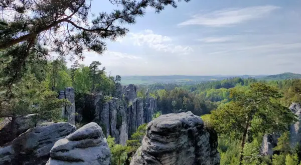 Blick über die Prachauer Felsen, eine beeindruckende Sandsteinformation, umgeben von grünen Wäldern und einem weiten Horizont unter blauem Himmel.