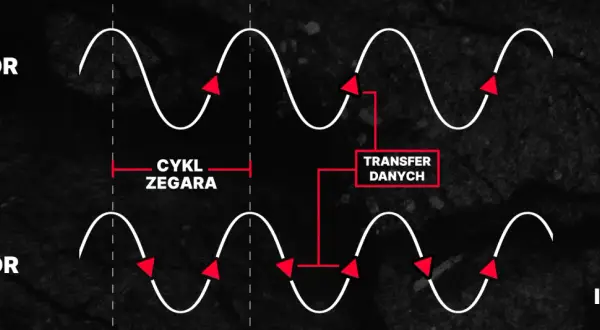 SDR i DDR: porównanie cyklu zegara i transferu danych. MHz co to? To częstotliwość, która określa szybkość.