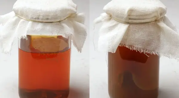 Två glasburkar med egen kombucha, täckta med tyg. Den vänstra burken har en ljusare vätska och synliga bubblor, medan den högra har en mörkare färg.