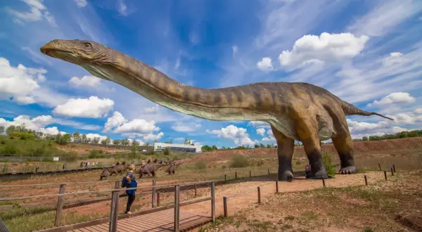 Gigantyczny diplodok w największym muzeum dinozaurów w Polsce. Zwiedzający spacerują po drewnianych kładkach, podziwiając prehistoryczne zwierzęta.