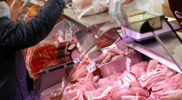 Wybieram mięso w sklepie. Zastanawiam się, jakie mięso ma najwięcej białka, przeglądając bogaty wybór wędlin i kawałków mięsa.