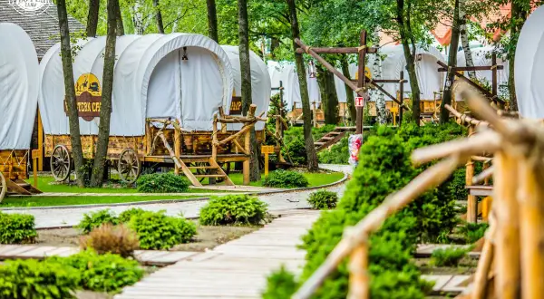 Wagony kowbojskie w Western Camp – świetne okolice Krakowa atrakcje dla dzieci. Drewniane ścieżki i zielone krzewy tworzą klimat.